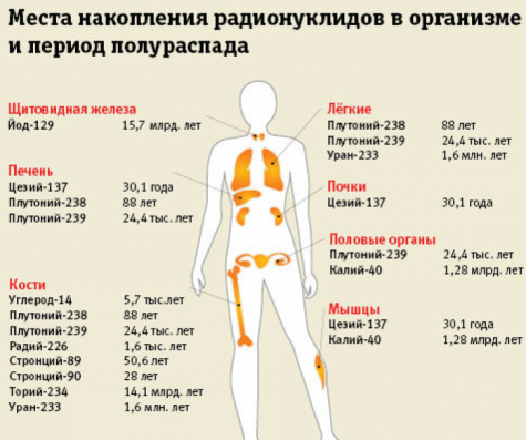 Наличие иии что это. Смотреть фото Наличие иии что это. Смотреть картинку Наличие иии что это. Картинка про Наличие иии что это. Фото Наличие иии что это