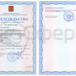 Экофизика 110АВ1 Свидетельство об утверждении типа Экофизика-110А