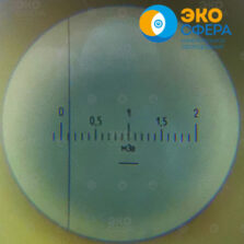 ДДГ-01Д - Пример индикации дозиметра