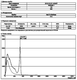 РКГ-АТ1320C - Гамма-радиометр - Отображение результата измерения