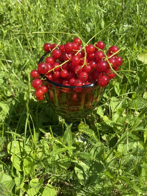 Приборостроение, учебный центр, поверка оборудования