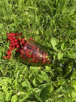 Стакан наполовину полон или наполовину пуст? - А как у Вас? Обучение по внутреннему аудиту со скидкой