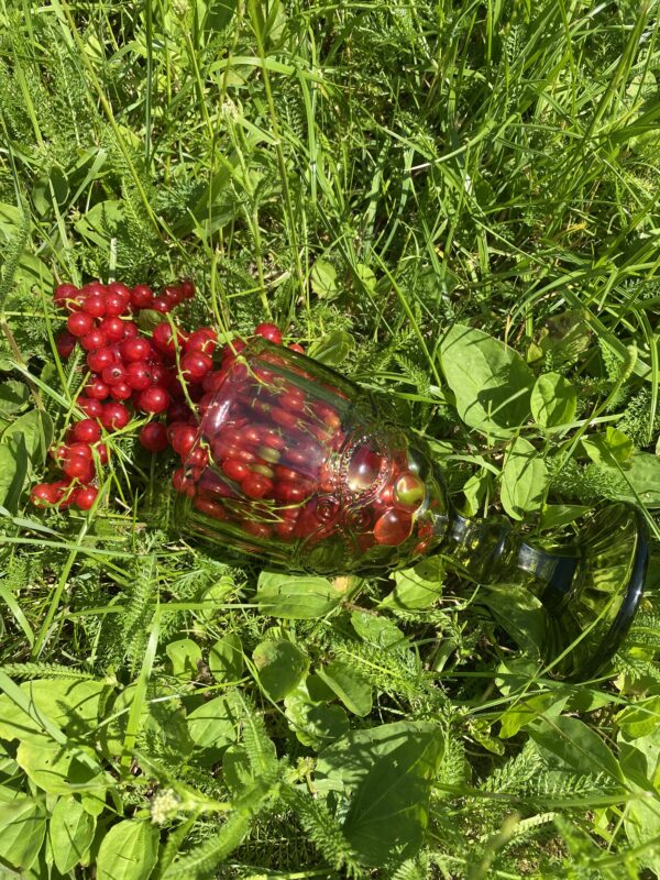 Приборостроение, учебный центр, поверка оборудования