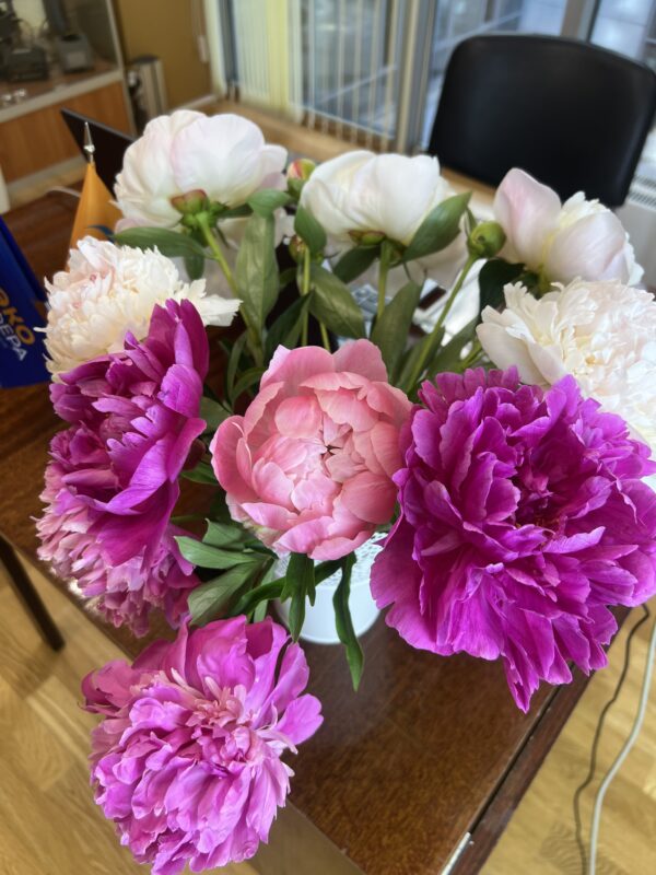 обучение по радиационной безопасности Свежие знания со скидкой - обновленное обучение по внутрилабораторному контролю