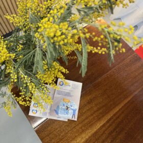 Весна — время обновлений!