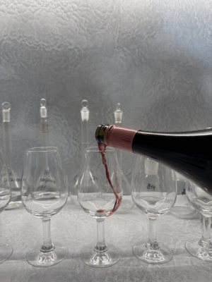 органолептический анализ Обучение по органолептическому анализу