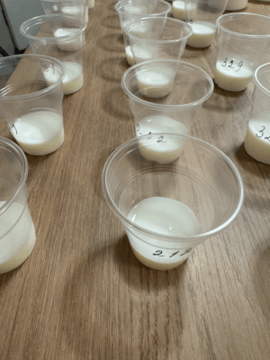 органолептический анализ Обучение по органолептическому анализу